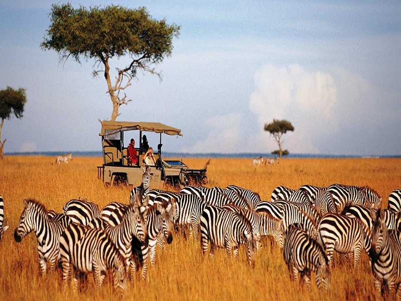 kenya