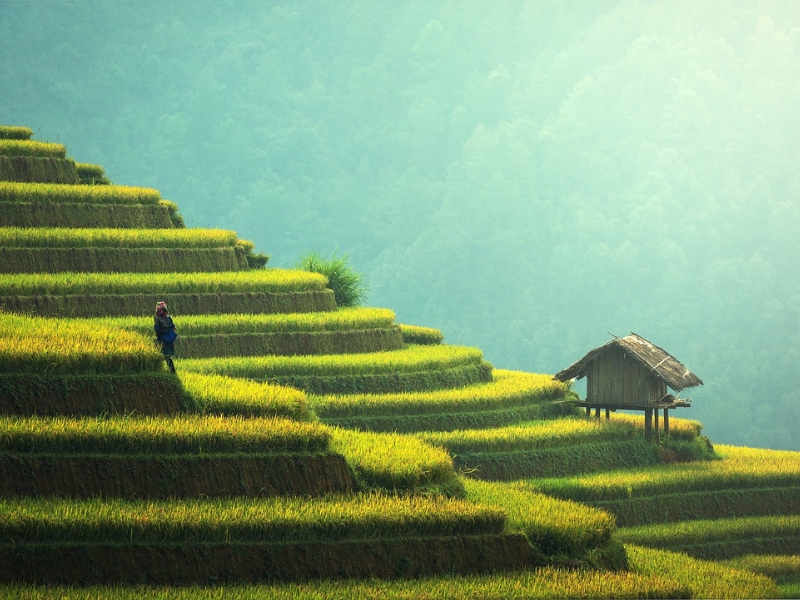 malesia