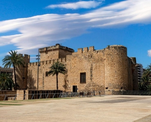 elche (2)
