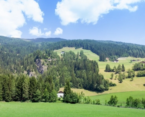 SAN CANDIDO (2)
