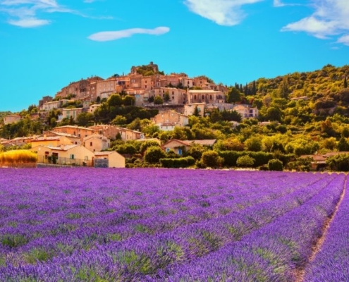 provenza (2)