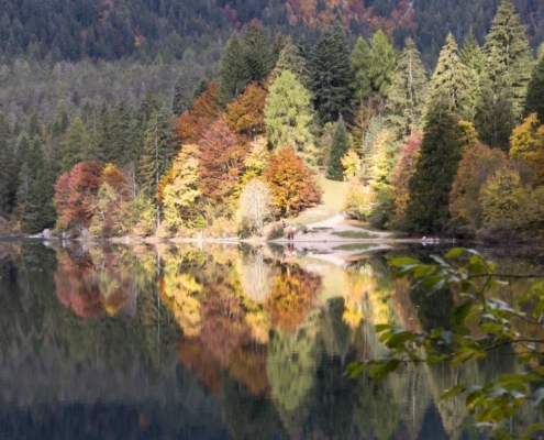 FOLIAGE TOVEL (2)