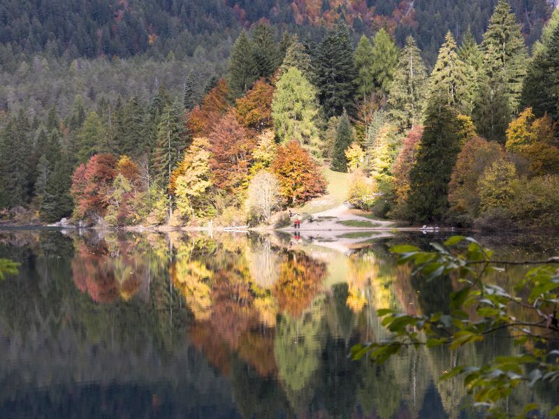 FOLIAGE TOVEL (2)