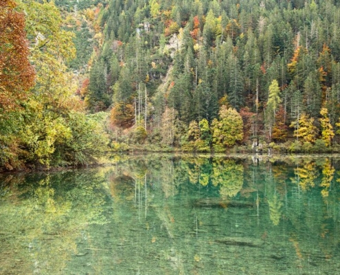 FOLIAGE TOVEL (3)